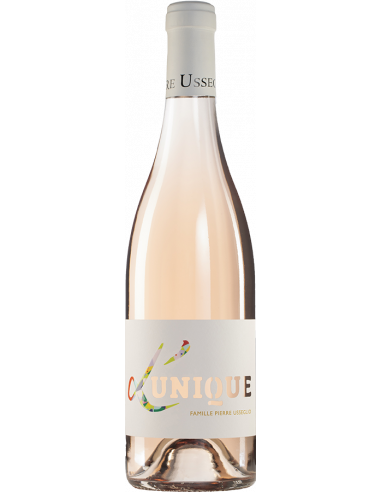 Domaine Pierre Usseglio & Fils 2020 Vin de France Rosé 75 cl 13 % vol.